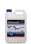 Los mejores elevadores de pH para piscinas: Análisis y comparativa de productos destacados