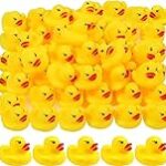 Análisis: Opiniones del Pato Salvaje sobre los mejores productos para piscinas