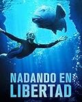 Título: Nadando en Libertad: Análisis y Comparación de los Mejores Productos para Piscinas