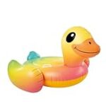 Análisis de los Mejores Productos para Piscinas con Diseños Divertidos de Pato