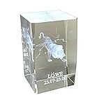 Análisis exhaustivo de los productos Zodiac para piscinas: ¡Descubre cuál es el mejor para ti en www.zodiac.com!
