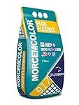 Análisis detallado del mortero Morcemcolor Plus Flexible para piscinas: ¿la mejor opción para tu proyecto?