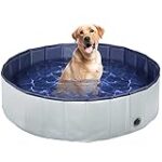 Análisis de las mejores piscinas para perros en Amazon: ¡Refresca a tu mascota este verano!