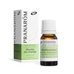 Análisis de los mejores productos para piscinas con esencia de menta: refresca tu experiencia acuática