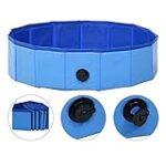 Guía completa: Las mejores piscinas para perros cerca de ti