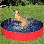 Análisis y Comparativa: Las Mejores Piscinas para Perros en Carrefour del 2021
